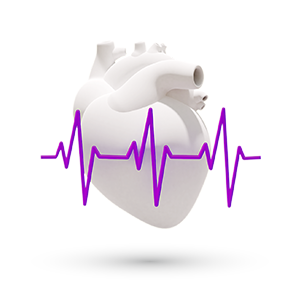 Cardiovascular